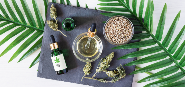 Best CBD Products on the Market: Everything You Need to Know